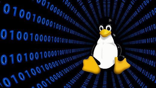 le manchot Tux, mascotte de GNU/Linux